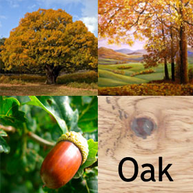 Oak Mantels