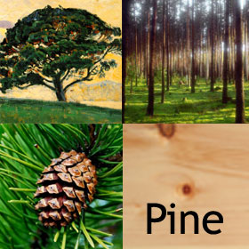 Pine Mantels